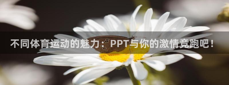 k1体育app下载：不同体育运动的魅力：PPT与你的激情竞跑吧！