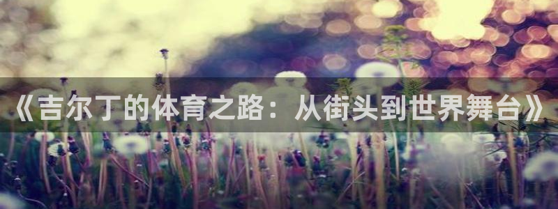 k1体育十年登录入口：《吉尔丁的体育之路：从街头到世界舞台》
