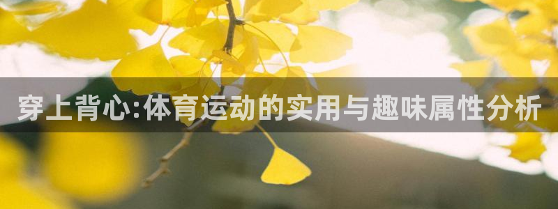 k1体育链接多少：穿上背心:体育运动的实用与趣味属性分析