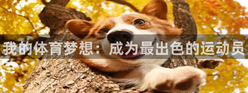 k1体育app官网登录入口：我的体育梦想：成为最出色的运动员