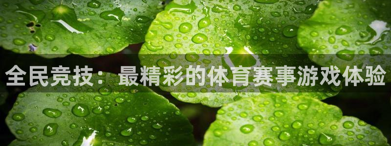 k1体育下载地址：全民竞技：最精彩的体育赛事游戏体验