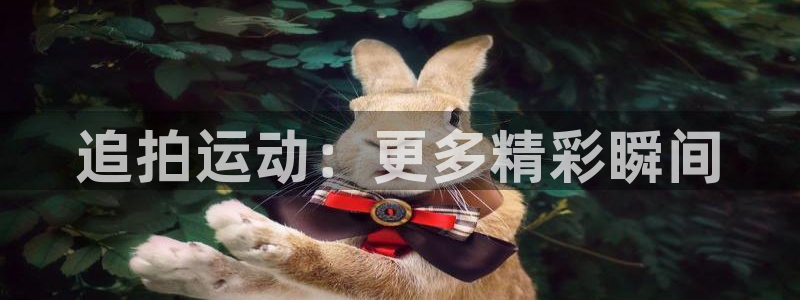 k1体育网址是多少：追拍运动：更多精彩瞬间