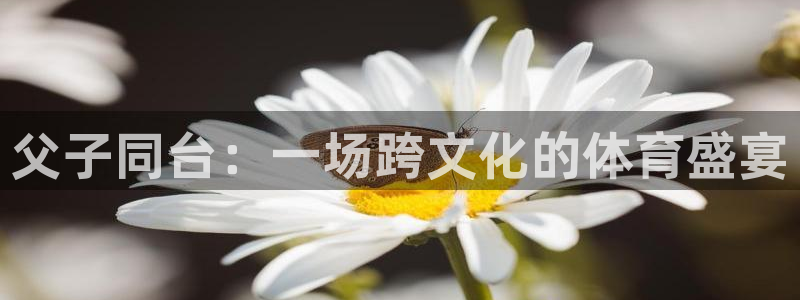 k1体育网址是多少：父子同台：一场跨文化的体育盛宴