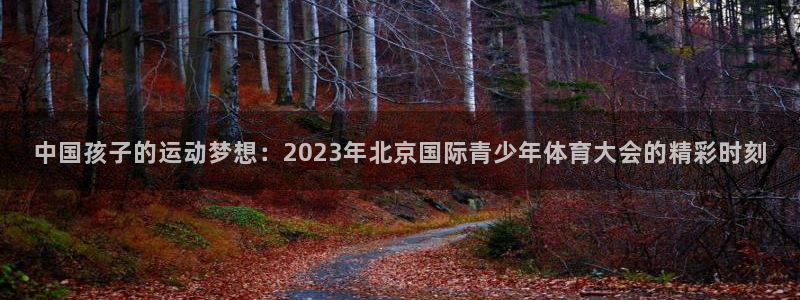 k1体育十年品牌值得信赖：中国孩子的运动梦想：2023年北京国际青少年体育大会的精彩时刻